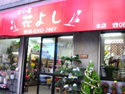 �֤褷���ʲֲ���