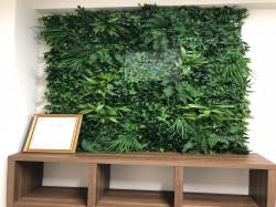 NATURE���ףȣɣԣţΣɣΣ�