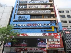 ���ȳ��� ������Ʋ ������Ź