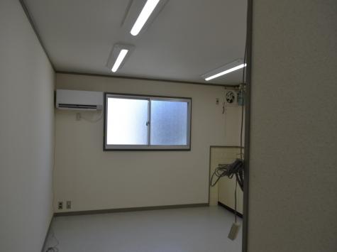 椿  302