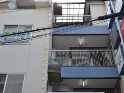椿  303